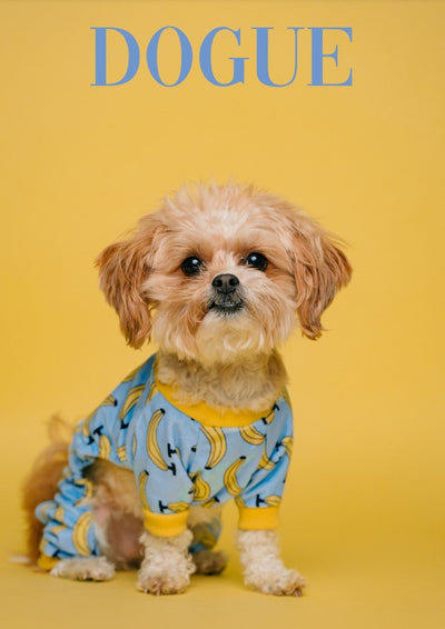 Kendall - Cancelled Plans shop