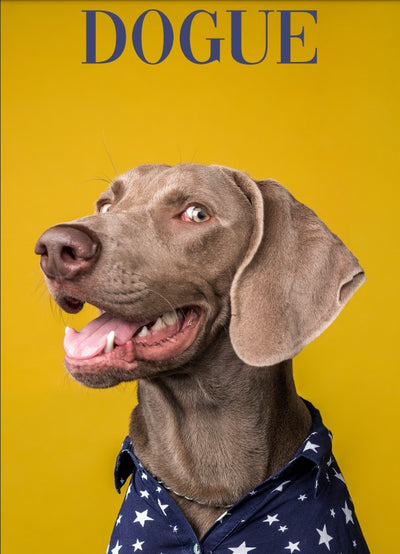 Timothee - Cancelled Plans shop