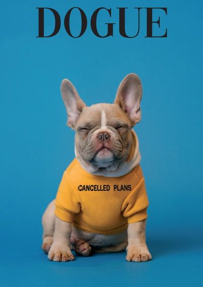 Bradley - Cancelled Plans shop